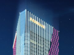 武汉亮化工程—凤凰大厦